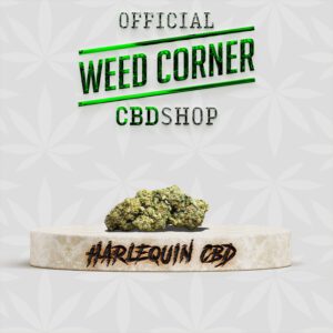 HARLEQUIN CBD