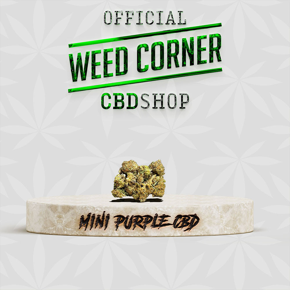 MINI PURPLE CBD