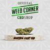 NORTHEN LIGHT CBD — fleur de CBD, Weed Corner