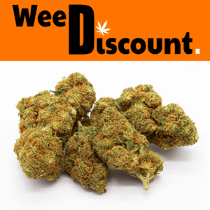 ORANGE BUD CBD WEEDISCOUNT
