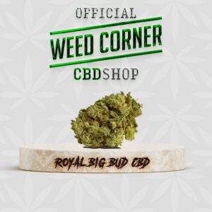 ROYAL BIG BUD CBD