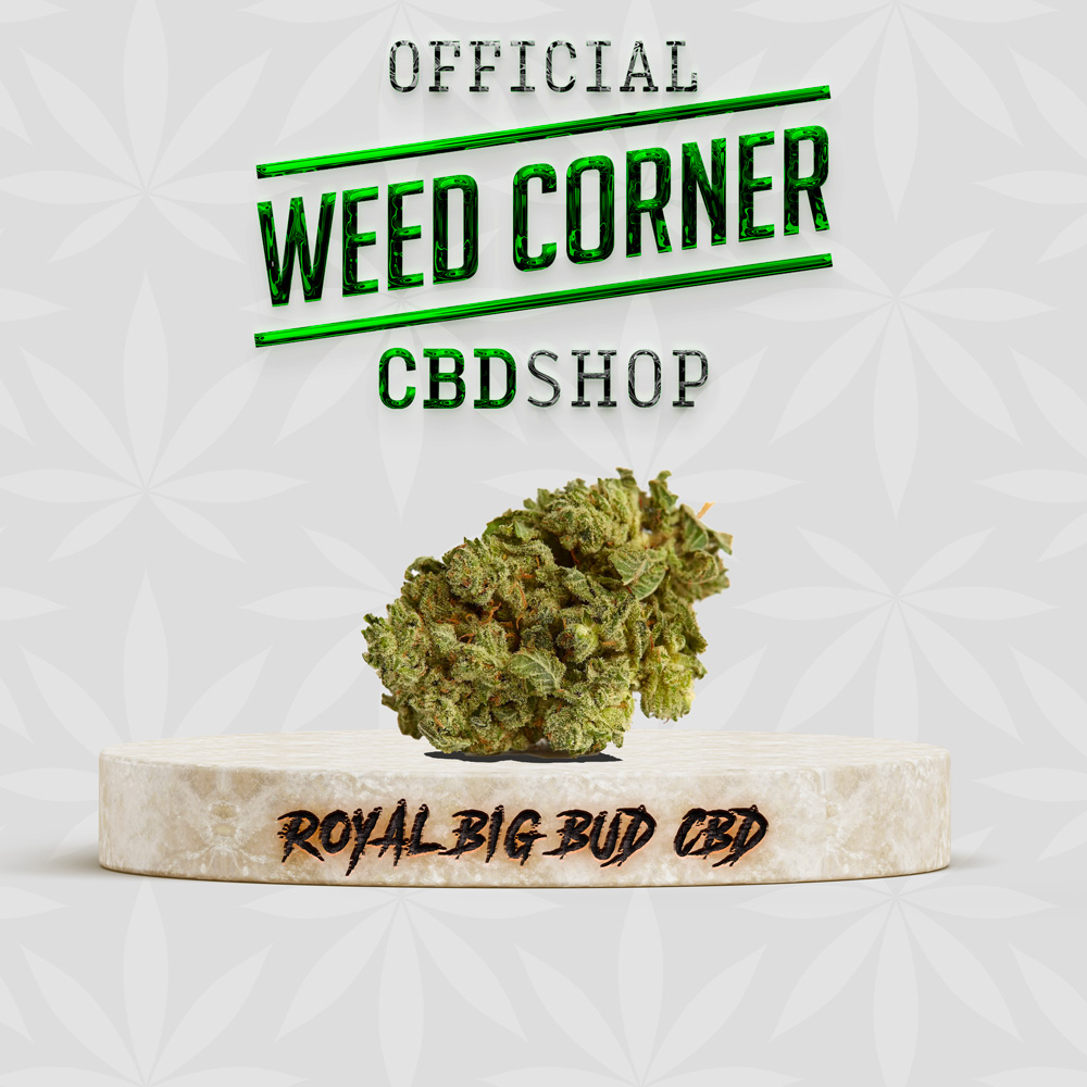 ROYAL BIG BUD CBD